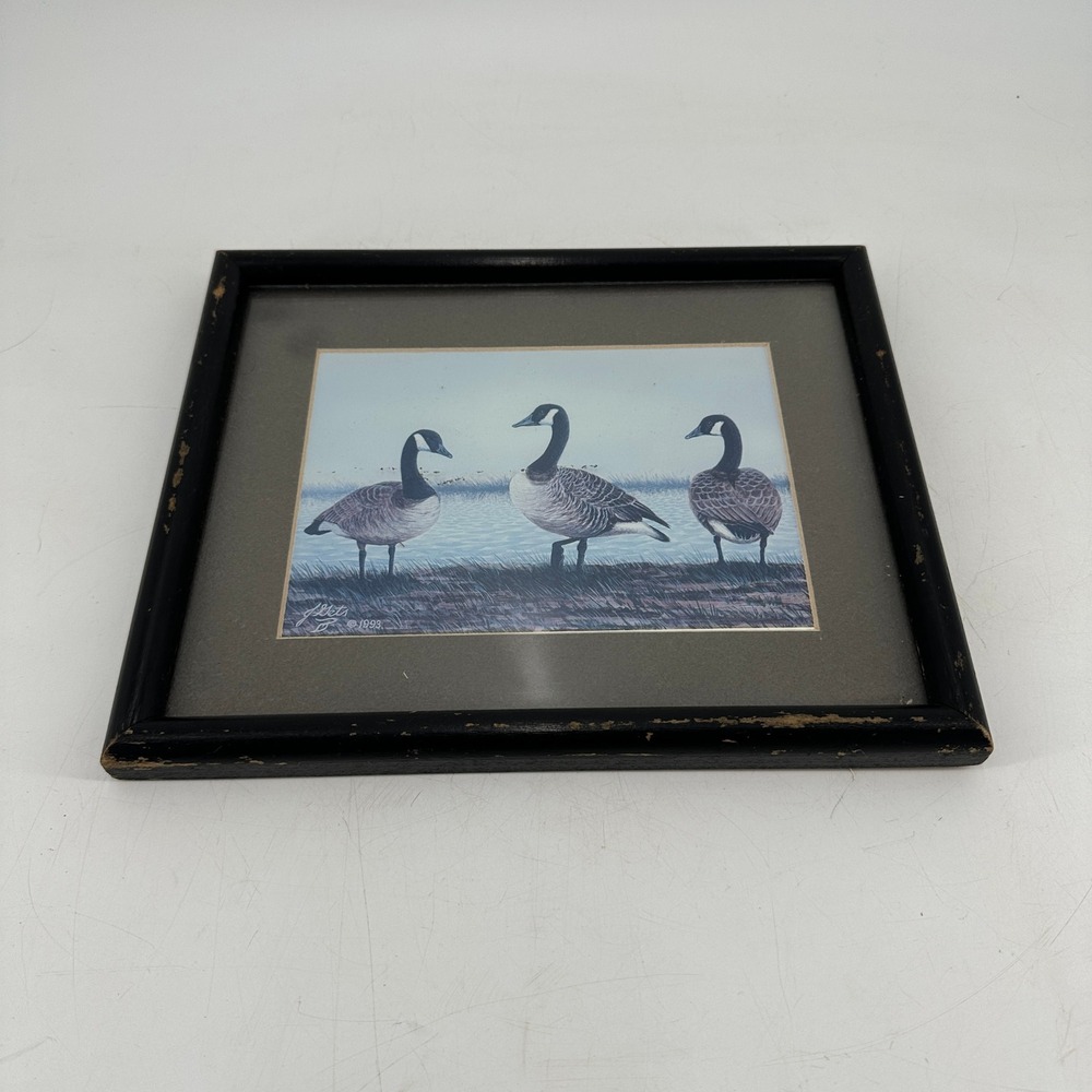 Vintage 1993 J Mets Canadian Goose Framed Print Wildlife Art Distressed Black